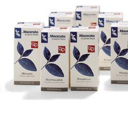 MENTA TINTURA MADRE 50 ML - Farmasanitas 
