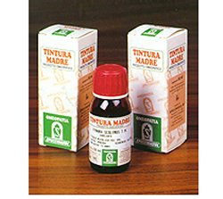 AMAMELIDE 15 50ML TM - Farmasanitas 