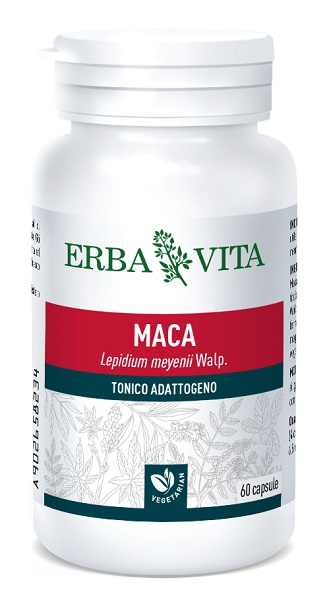 MACA 60 CAPSULE 400 MG - Farmasanitas 