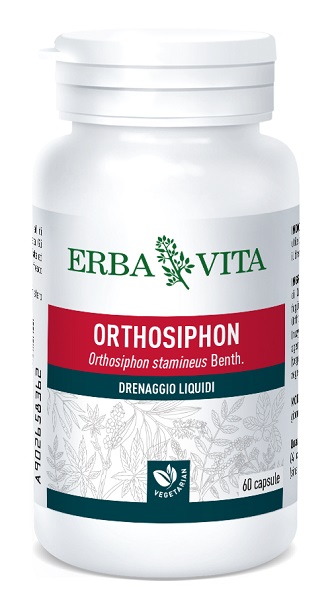 ORTOSIPHON 60 CAPSULE 400 MG - Farmasanitas 