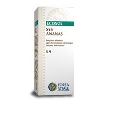SYS ANANAS GOCCE 50 ML PROFESSIONAL - Farmasanitas 
