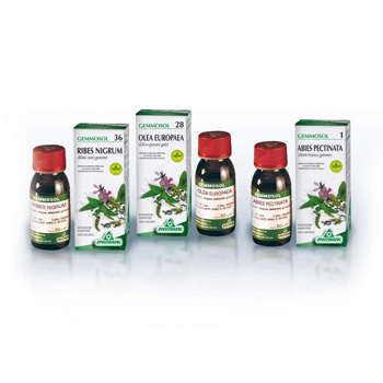 GEMMOSOL 46 TIGLIO ARGEN 50ML - Farmasanitas 