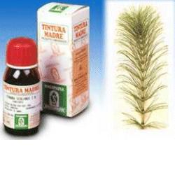 EQUISETO 12 50ML TM - Farmasanitas 