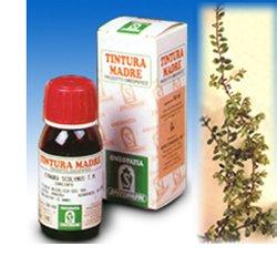 UVA URSINA 30 50ML TM - Farmasanitas 