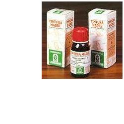 ERISIMO 61 50ML TM - Farmasanitas 