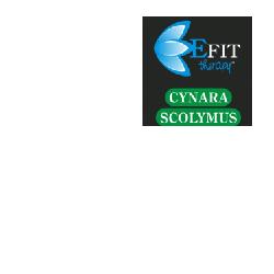 CYNARA SCOLYMUS ESTRATTO FLUIDO 30 ML - Farmasanitas 