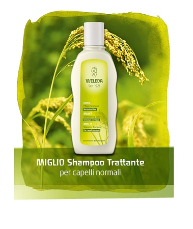 SHAMPOO MIGLIO 190 ML - Farmasanitas 