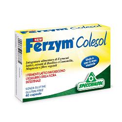NEW FERZYM COLESOL 40 CAPSULE - Farmasanitas 