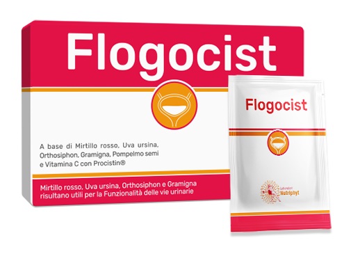 FLOGOCIST 10 BUSTINE - Farmasanitas 