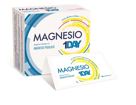 MAGNESIO 1DAY 20 BUSTE - Farmasanitas 
