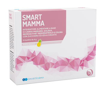 SMART MAMMA 14 BUSTINE GUSTO ANANAS - Farmasanitas 