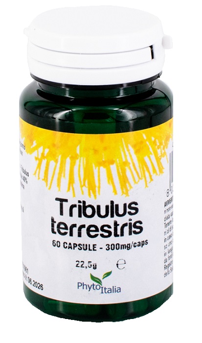 TRIBULUS TERRESTRIS 60 CAPSULE - Farmasanitas 
