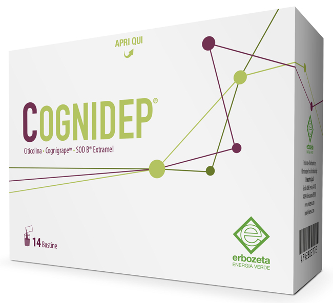 COGNIDEP 14 BUSTINE - Farmasanitas 
