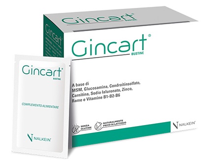 GINCART 18 BUSTINE - Farmasanitas 