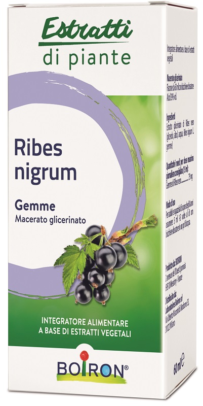 RIBES NIGRUM BOIRON MACERATO GLICERICO 60 ML - Farmasanitas 