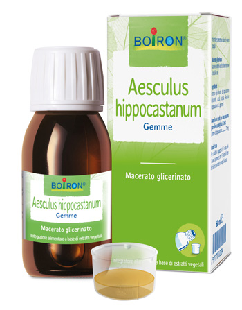 AESCULUS HIPP BOIRON MACERATO GLICERICO 60 ML - Farmasanitas 